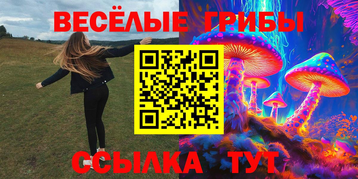Псилоцибиновые грибы MAGIC MUSHROOMS  Псилоцибиновые грибы ЛСД  Астрахань  Вход с VPN 